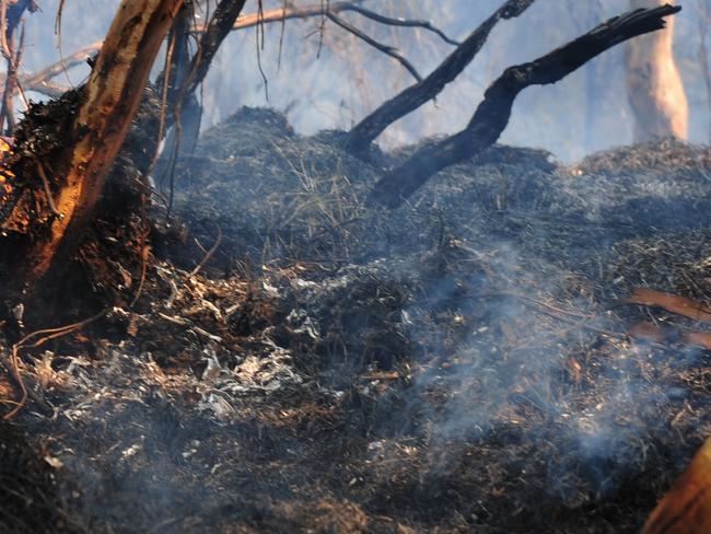 Alice Springs residents were confronted with a blanket of smoke on Friday afternoon after a northerly wind pushed a cloud of ash and smoke from a fire that started in the Bonn Springs area, 30 km north of Alice Springs.Fire continues to burn at 16 mile creek