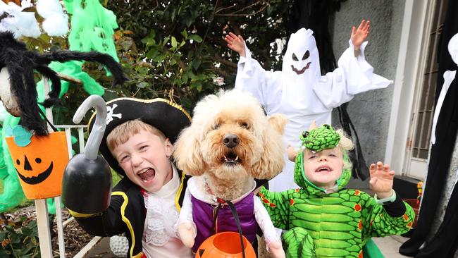 The main streets of Port Melbourne will come alive with hundreds of adorable pups dressed up in scary, whacky and colourful outfits at the 2022 Melbourne Howl-O-Ween Paw Parade on Sunday October 30, 2022. Dressed up in Halloween outfits are brothers Tom 7 and Cal 4, James 5, the ghost with Ted the dog in Howl-O-Ween costumes. Picture: David Caird