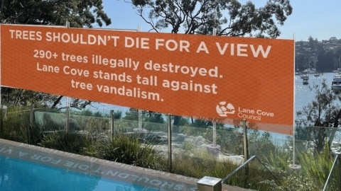 A mock up of the planned sign. Picture: Lane Cove Council