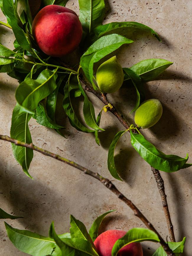 Peaches are coming into season now, so make the most of them. Photos: Nikki To / TWAM