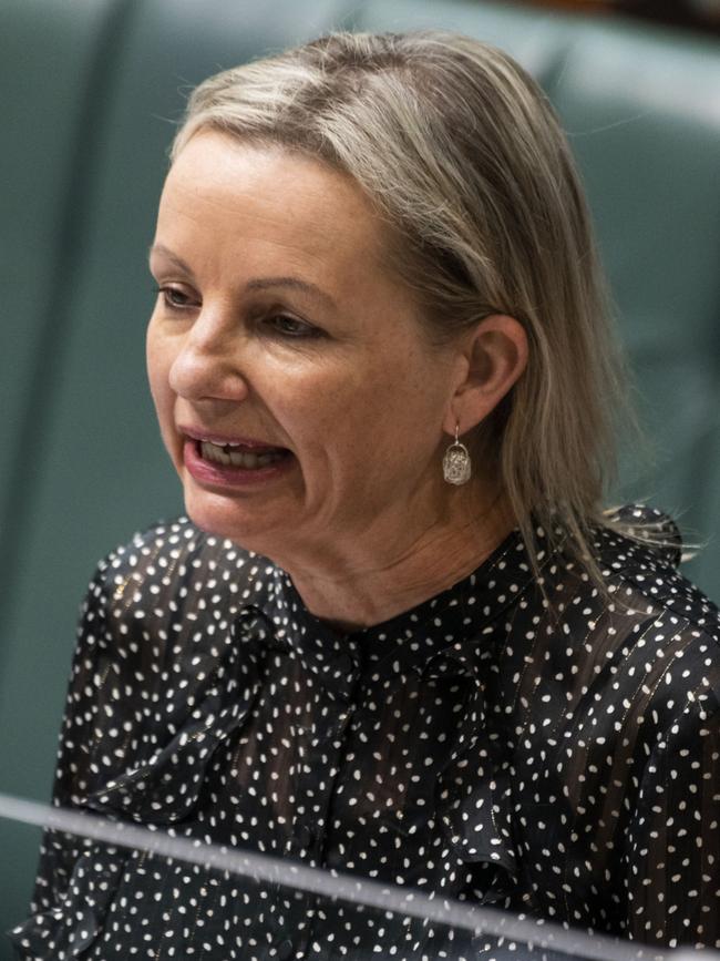 Environment Minister Sussan Ley. Picture: Martin Ollman