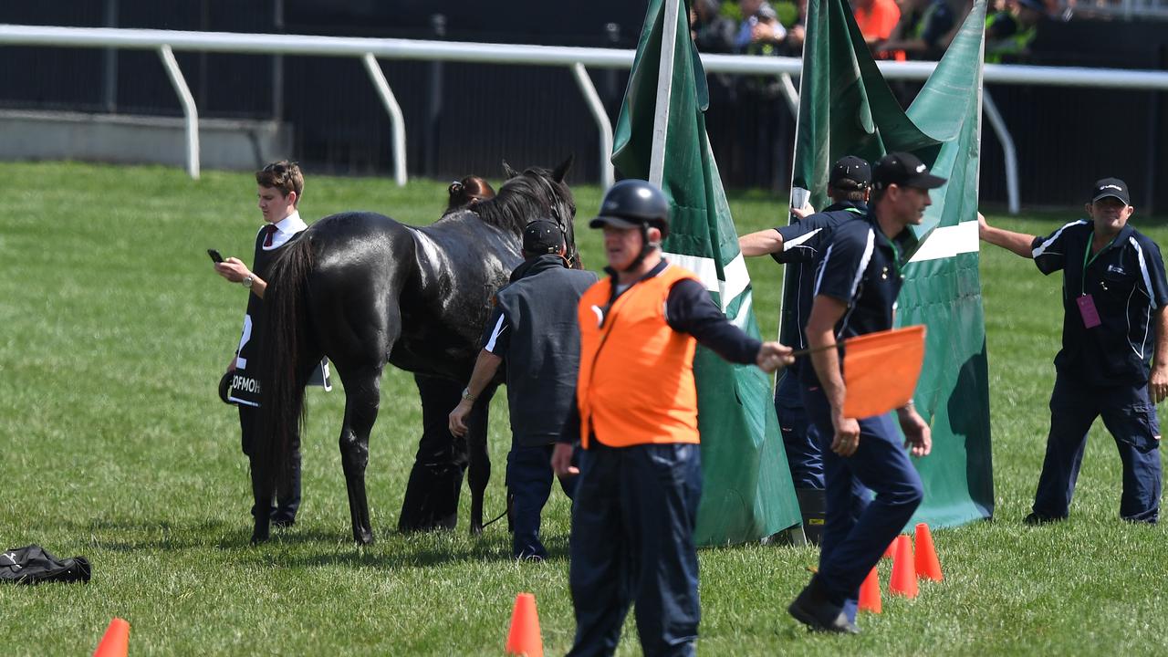 A string of deaths have rocked the Melbourne Cup in recent years. (AAP Image/Dan Himbrechts)