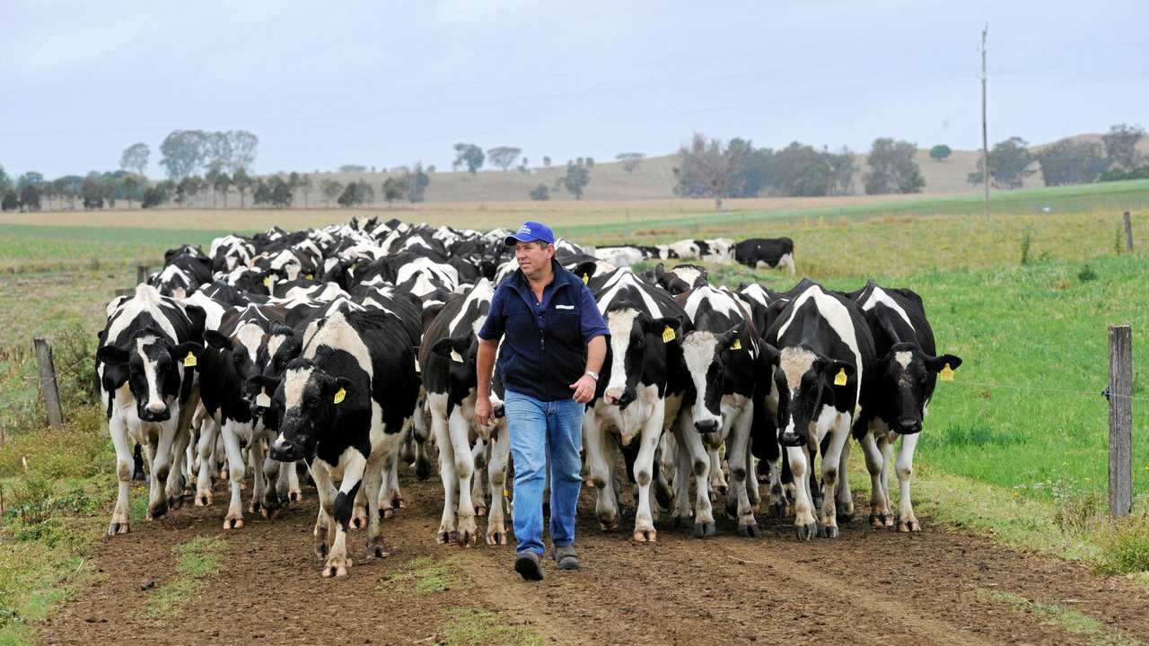Hundreds of family farms still at risk, action needed | The Courier Mail