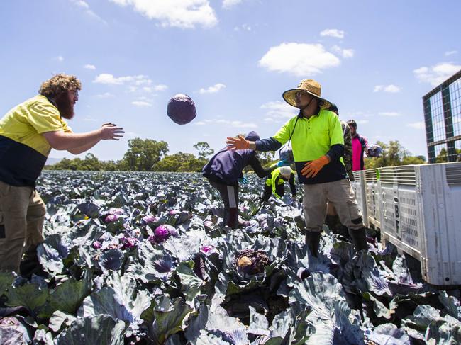 Harvest is already well underway for many farmers across Victoria.