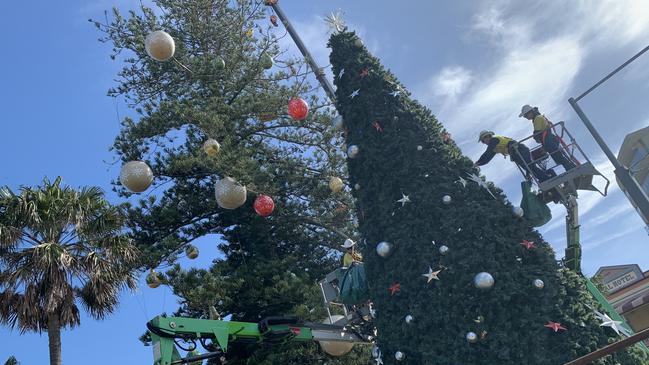 Port Macquarie’s traditional Christmas tree being put back in place as the Norfolk Pine version was dismantled on December 7 last year. Picture: Janine Watson