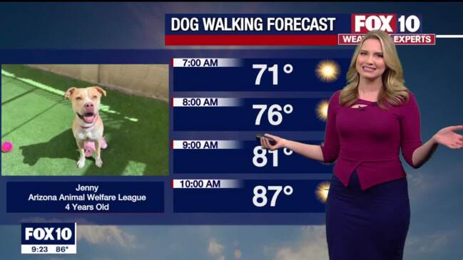 Evening Weather Forecast – 4/29/23