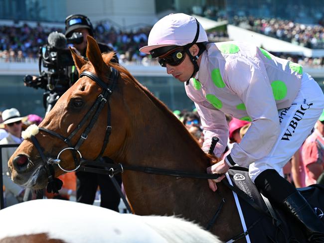 MELBOURNE, AUSTRALIA - NOVEMBER 05: William Buick riding Vauban to the start before Race 7, the Lexus Melbourne Cup - Betting Odds during Melbourne Cup Day at Flemington Racecourse on November 05, 2024 in Melbourne, Australia. (Photo by Vince Caligiuri/Getty Images)