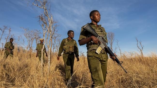 The Akashinga rangers (the name means The Brave Ones in the local Shona language) have made more than 1100 arrests in Zimbabwe since 2017. Picture: Brent Stirton