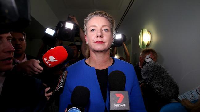 Bridget McKenzie chased by media pack