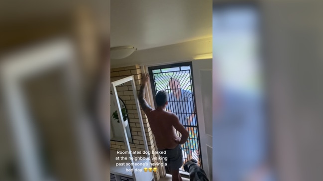 Neighbour erupts over barking dog