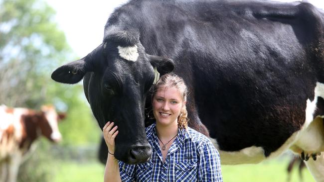 The Jones family operation is certified organic and they shifted to a pasture-only system 10 years ago. Picture: Yuri Kouzmin