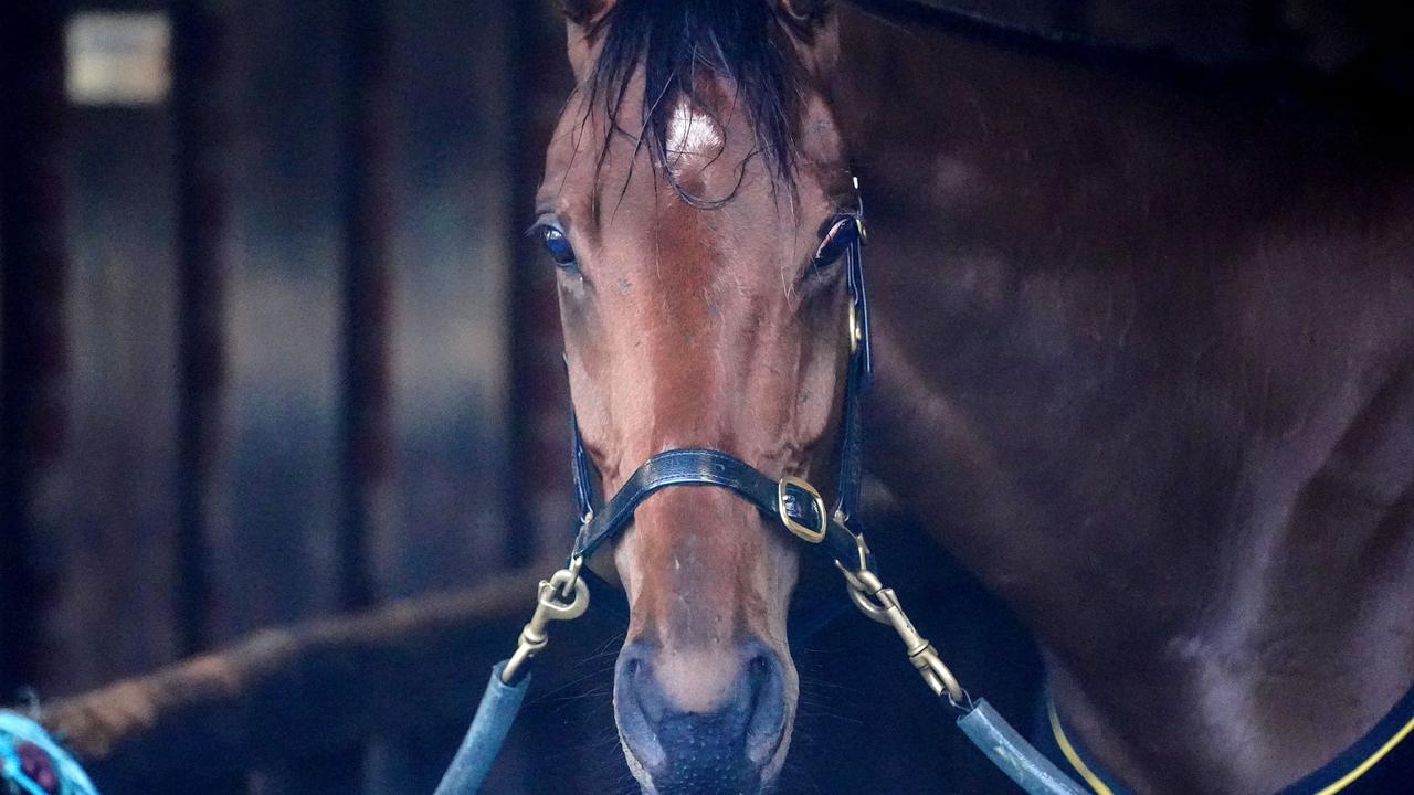 Moonee Valley trackwork