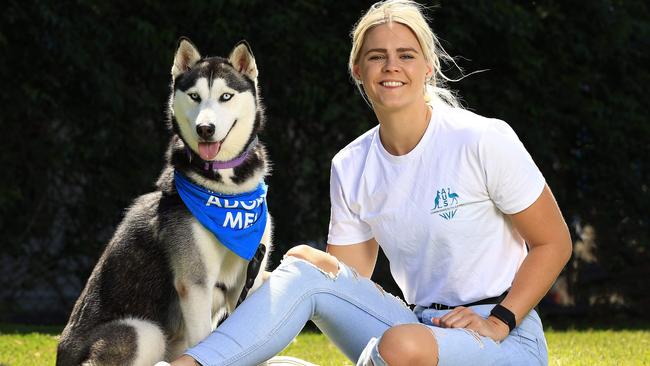 In an effort to find loving homes for as many neglected, homeless and abused animals as possible, RSPCA Queensland is calling on the community to participate in its major annual fundraising appeal, Give To Get Them Home, to support the care of animals, as well as helping to provide lifesaving treatment for animals in need. Champion swimmer Shayna Jack meets ÃFrostÃ a 19 month old Husky cross. Pics Adam Head