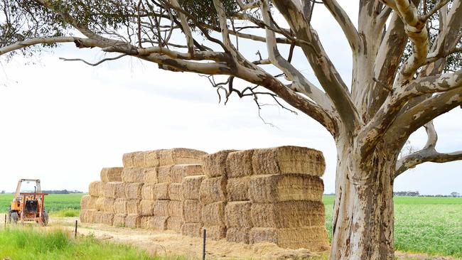 Clearing stocks: Hay sellers are keen to clear stocks and free up space for new crop hay. Picture: Zoe Phillips