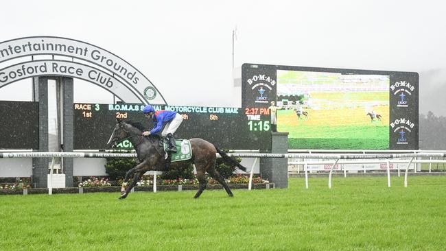 The John O'Shea trained Breeders Plate placegetter Physical Graffiti scores a dominant win at Gosford at his second race start. Picture: Bradley Photos