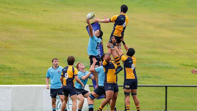 Nathaniel Gallagher (No.8) in action. Picture: Rachel Wright.