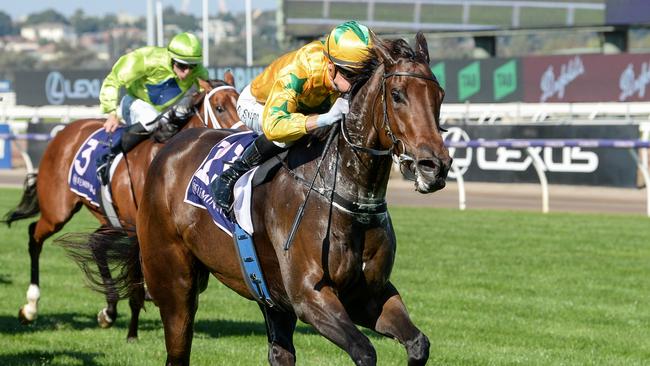 Estriella has the speed to burn her rivals in the Moir Stakes. Picture: Ross Holburt/Racing Photos via Getty Images