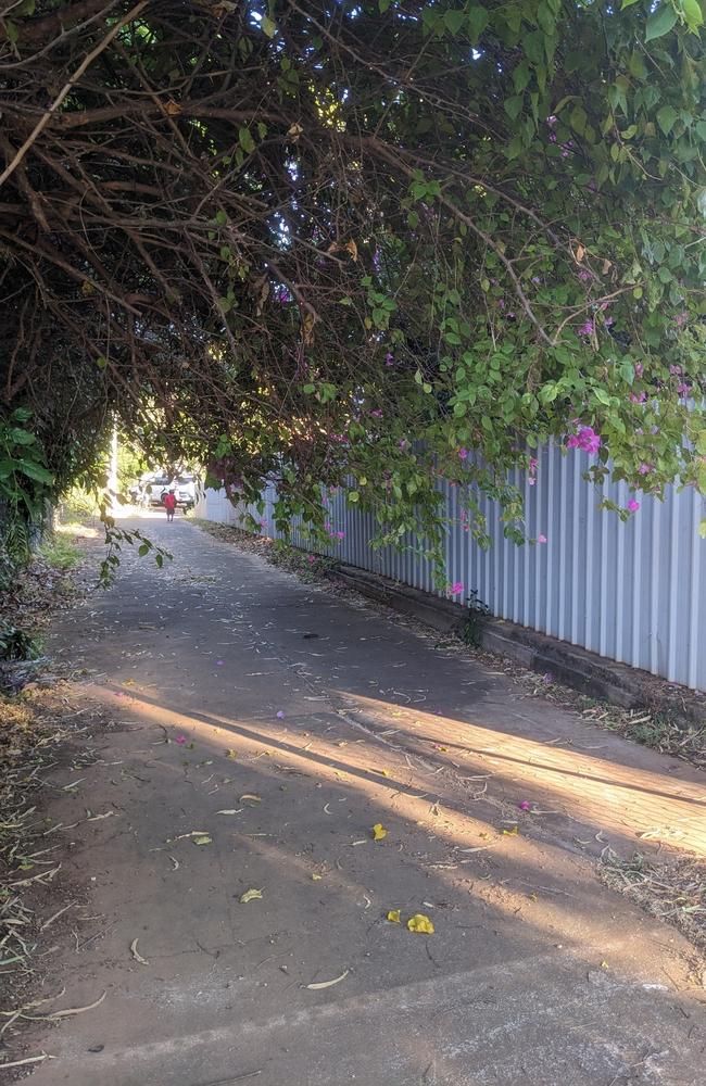 Overhanging vegetation reported to Katherine Town Council. Picture: Snap Send Solve