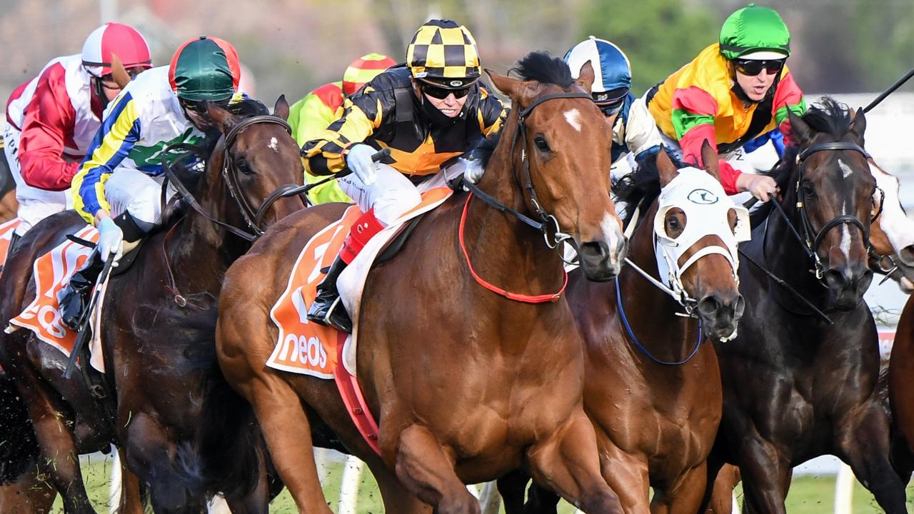 Neds Sir Rupert Clarke Stakes