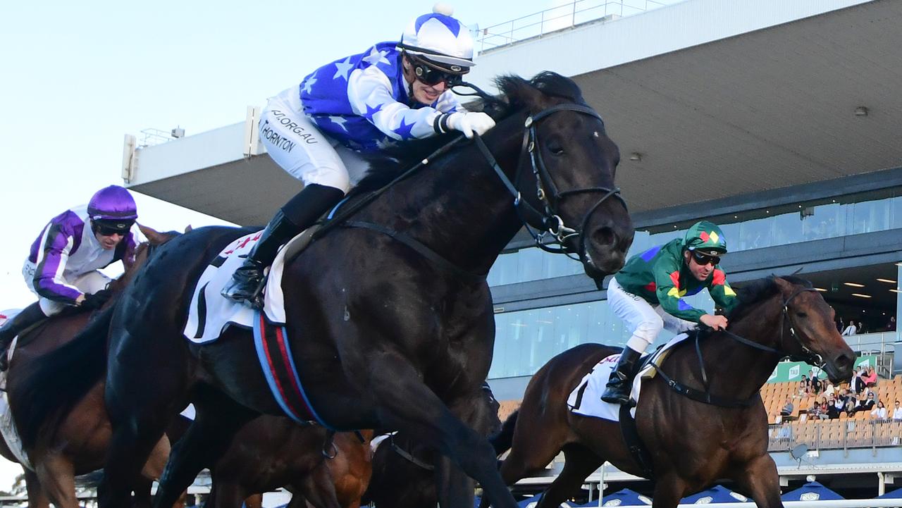 The Odyssey (blue and white) holds off Just Orm (yellow and green), with Alligator Blood (dark green) charging home for third. Picture: Trackside Photography