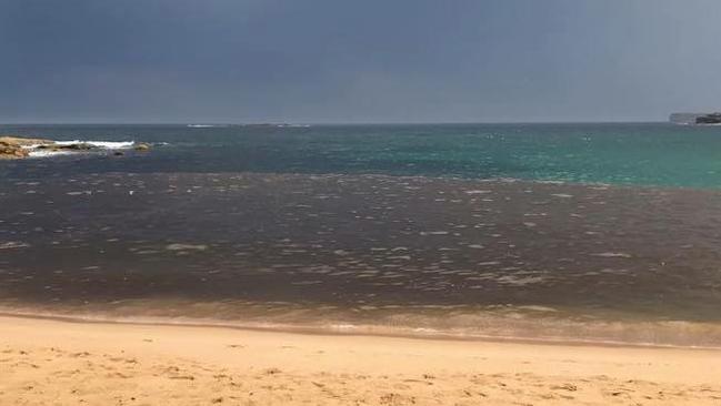 A large slick of brown wastewater at Coogee beach following rainfall.