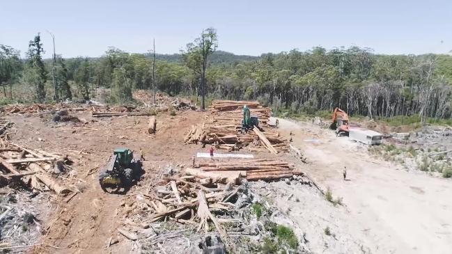 Drone footage of Tarkine logging