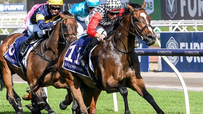 Damian Lane is well placed to have a lucrative day at Mornington.