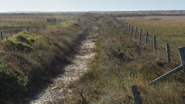 The drain running from the Feast farm's major spring has dried up for the first time in 90 years. Picture: Jessica Dempster.