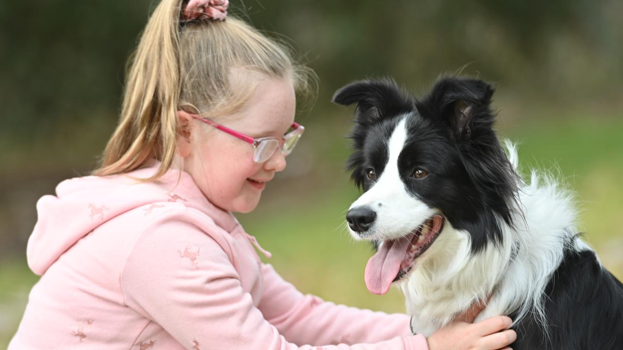 SA’s Cutest Dog winner Rosie the Border Collie with best friend Madi Russell, 8. Picture: Keryn Stevens