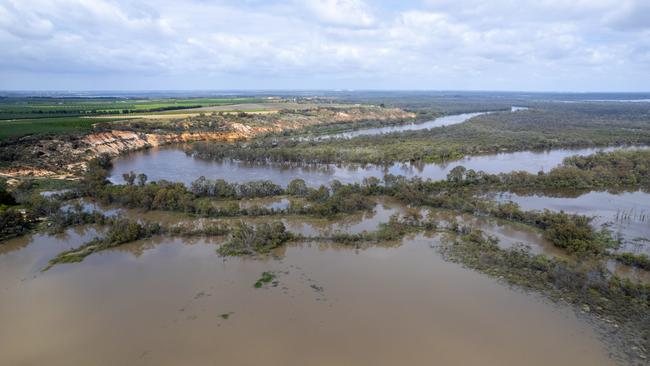 Bookpurnong Cliffs, Nov 2022. Picture: Riverland Commercial Photography
