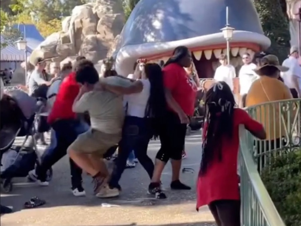 Shocking footage of wild brawl at Disneyland | news.com.au — Australia ...