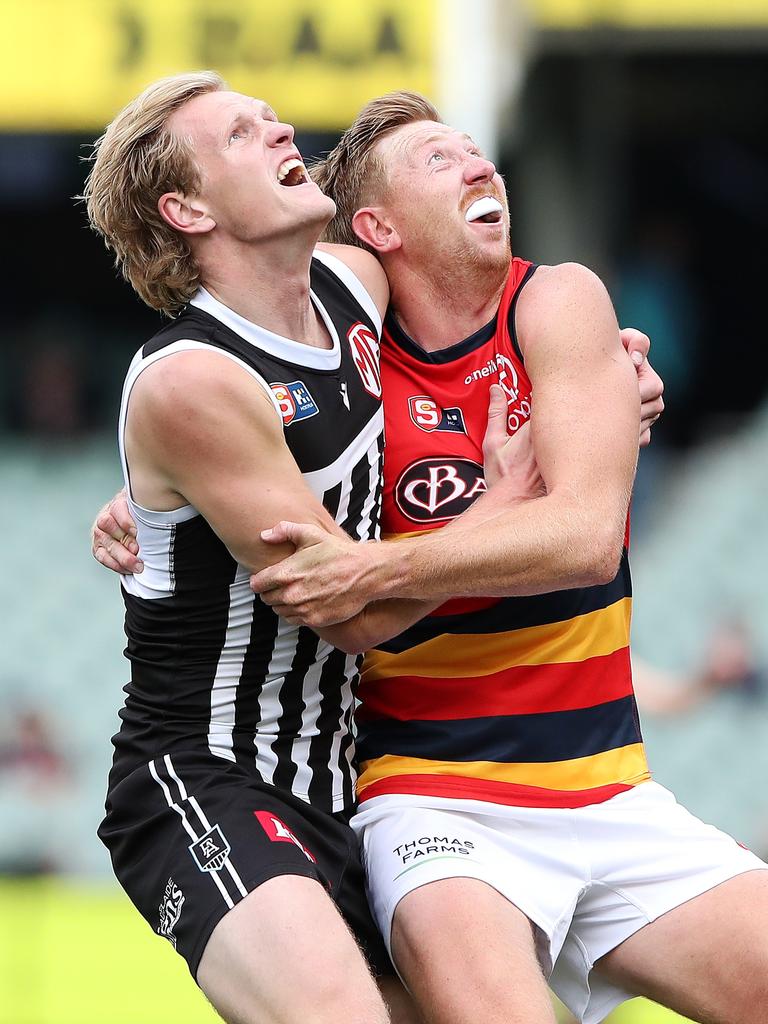 A SANFL Showdown could soon be the thing of the past. Picture: Sarah Reed