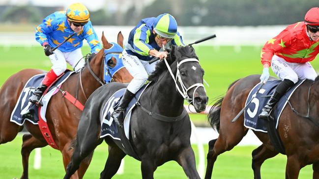 The Trent Busuttin and Natalie Young-trained Brayden Star will miss the Melbourne Cup after failing a CT scan. Picture: Vince Caligiuri/Getty Images