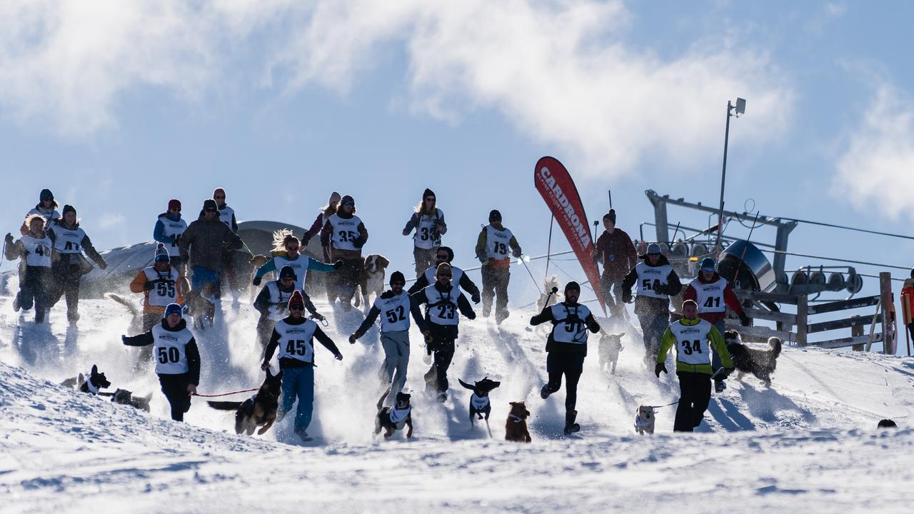 Absolute mayhem on the slopes.