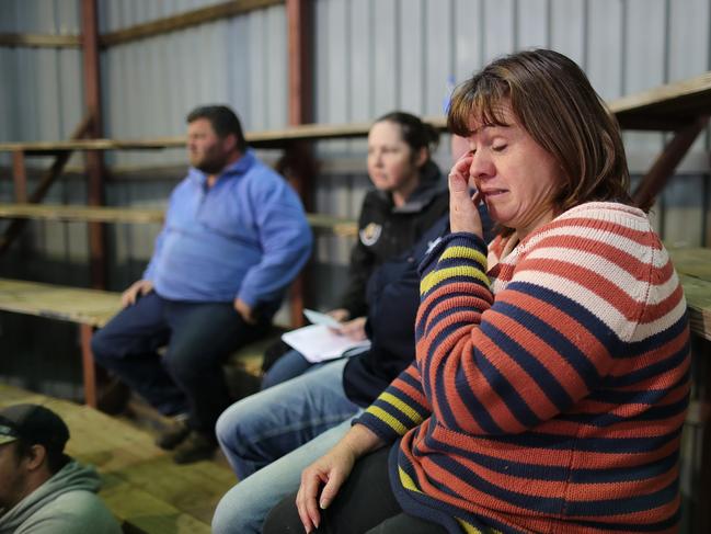 Kristi Dalitz watches the family’s dairy herd go under the hammer. Picture: Alex Coppel