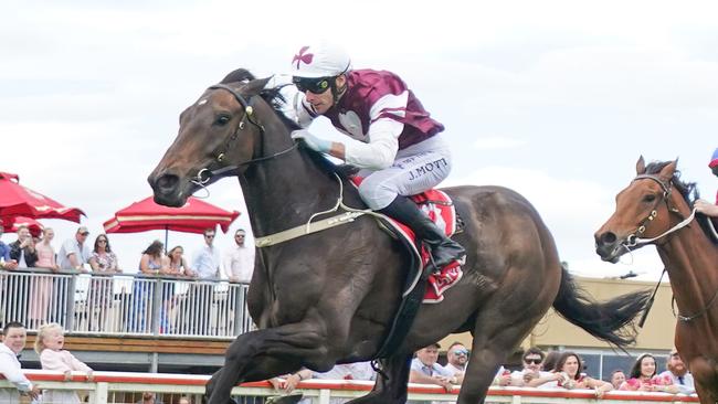 Cindy Alderson is unsure if Ruakaka Raider is ready for BM84 grade. Picture: Scott Barbour/Racing Photos