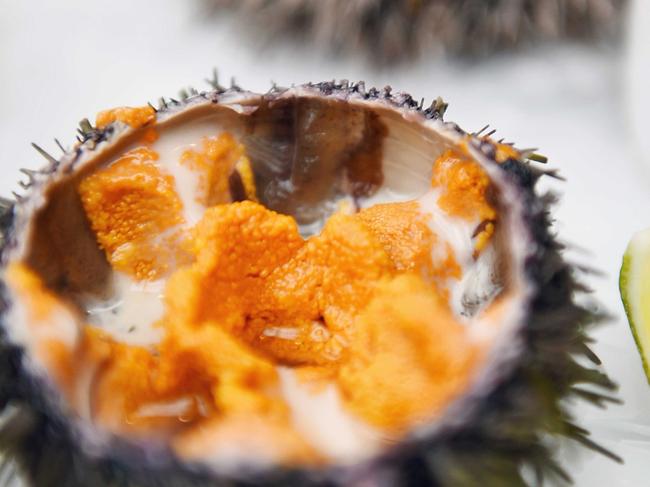 Try the Urchin Uncovered class at the Sydney Seafood School. Picture: Supplied