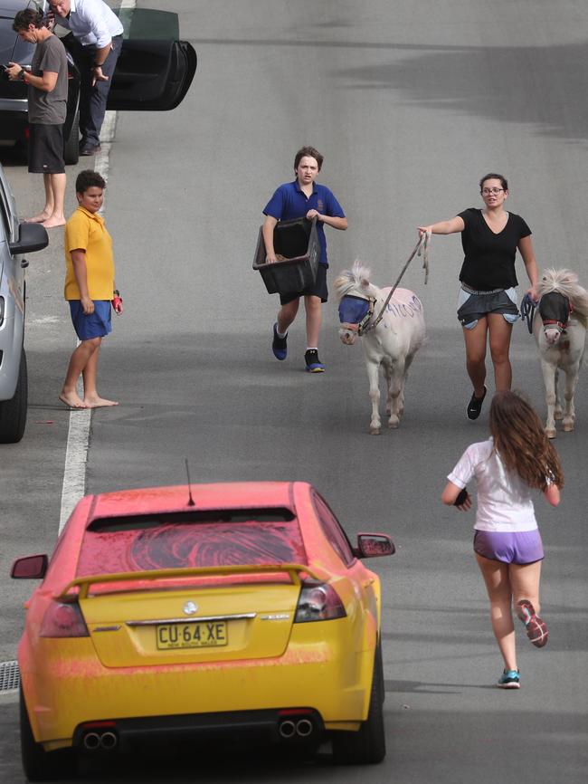 Residents flee after fire retardant was dropped on homes in South Turramurra. Picture: John Grainger