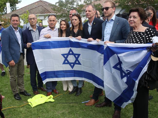 Several other MPs also attended the rally. Picture: David Crosling