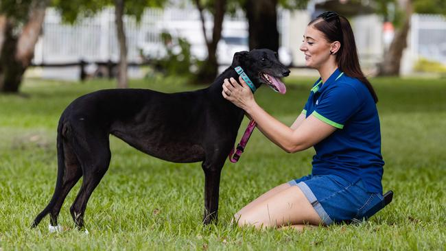 Petstock Darwin's second-in-command Dana Melody and her adopted greyhound Dobbie shared their journey together during National Pet Adoption Month 2025. Picture: Pema Tamang Pakhrin