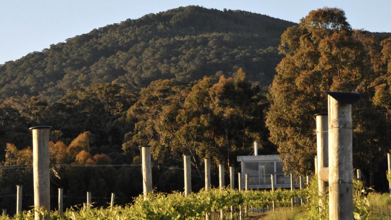 The cellar door where food and wine exist in perfect harmony