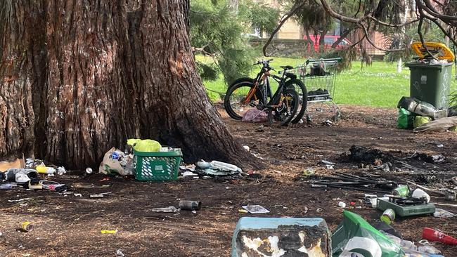 Damage to the possessions of people experiencing homelessness and the Giant Sequoia in St David's Park.