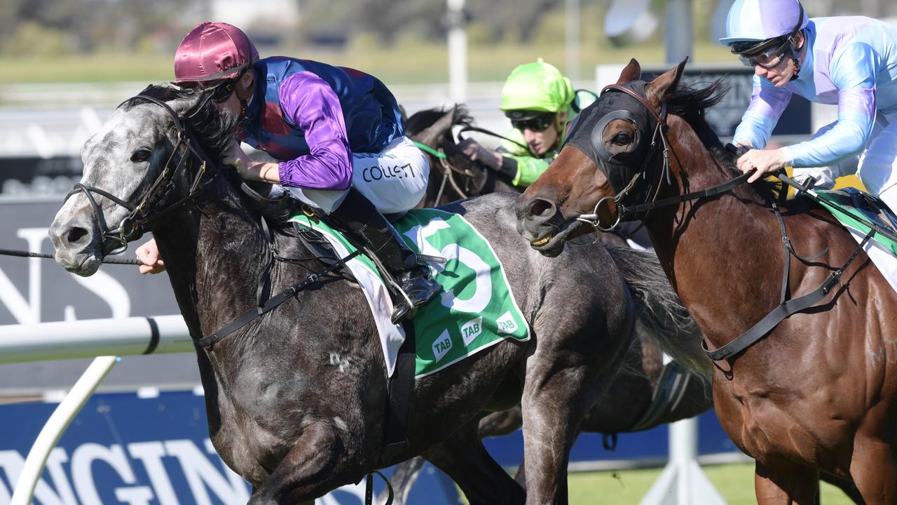 My Blue Jeans (left) looks a good chance at Goulburn. Picture: AAP Image