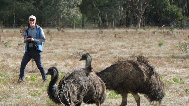 Roger Smith from Echidna Walkabout will cease taking tours around the Geelong and Great Ocean Road areas. Picture: Mark Wilson