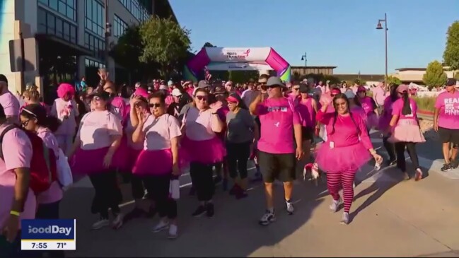 Komen Hosts ‘More Than Pink Walk’ In Fort Worth | Herald Sun