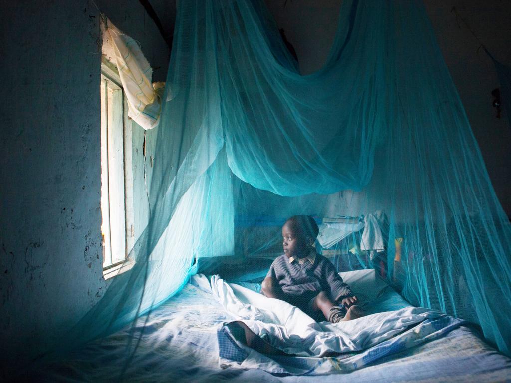 Young children in poorer countries are the most vulnerable group to malaria.