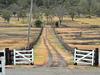 Plan to turn horse stud into 450-lot estate reaches next stage