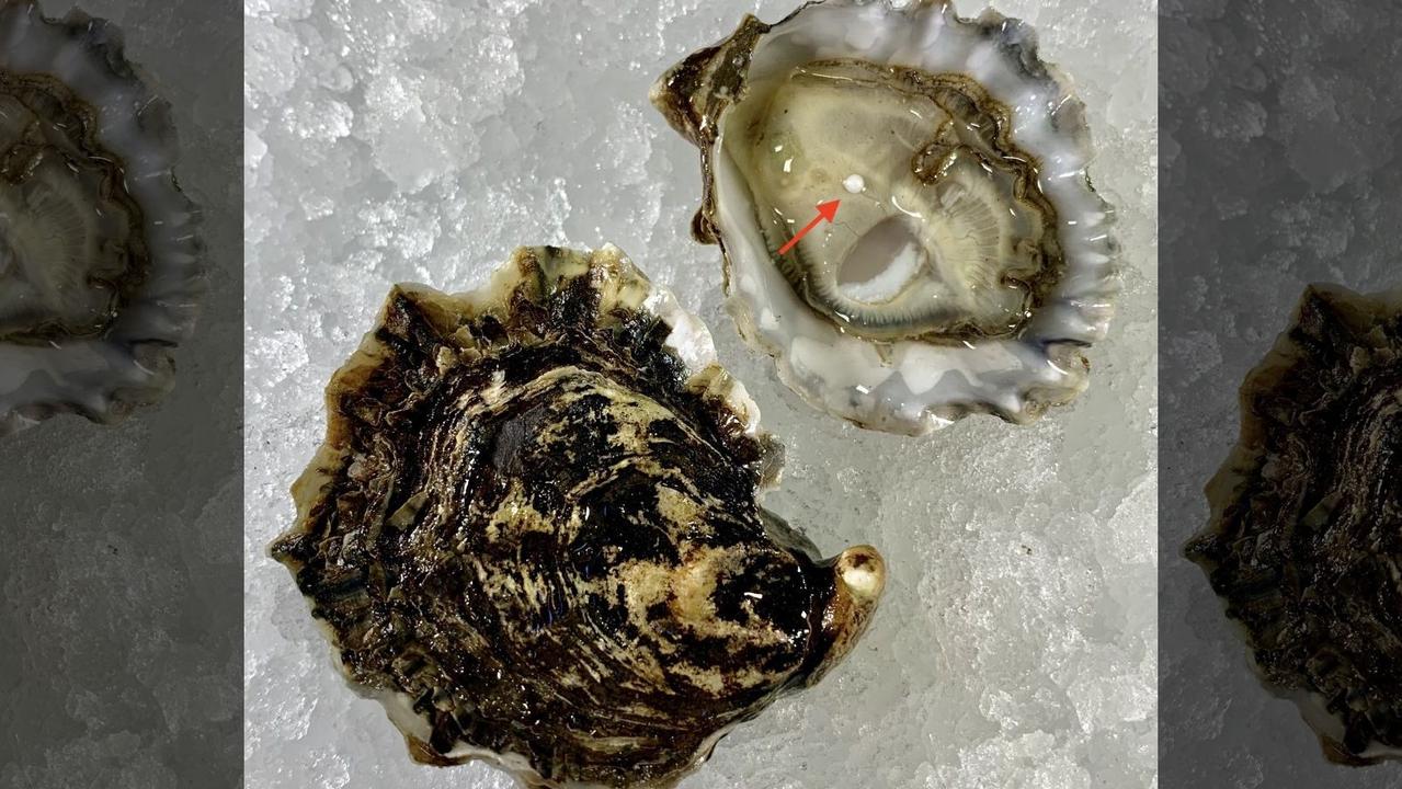 The rare find marks the latest instance of a New Jersey diner finding a pearl inside an oyster. Picture: Stern &amp; Bow.