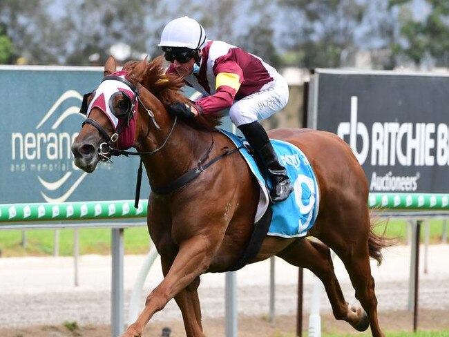 Glen Boss rides Swift Witness to victory at the Gold Coast. Picture: Trackside Photography