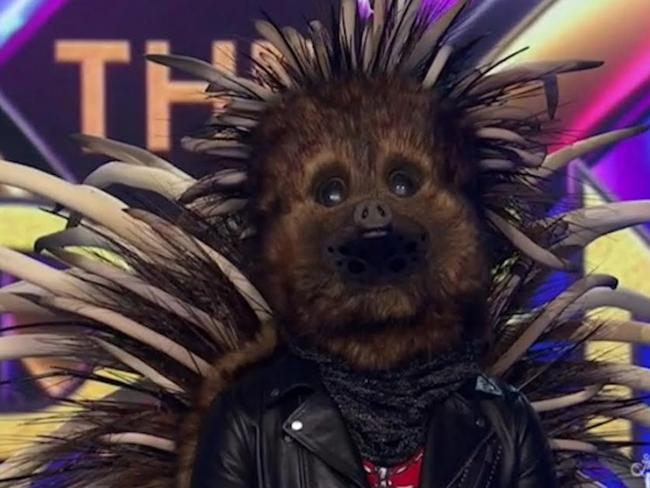 The Echidna just before The Masked Singer's first big reveal.